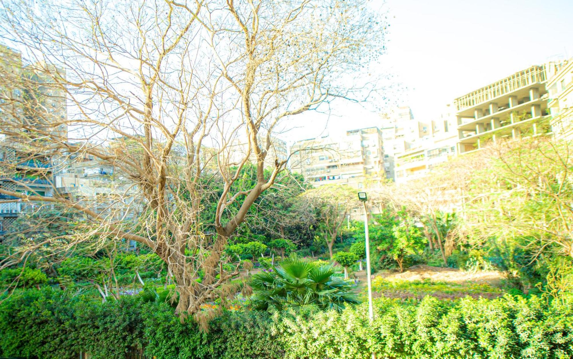 Elegance Tower Aparthotel Giza Bagian luar foto